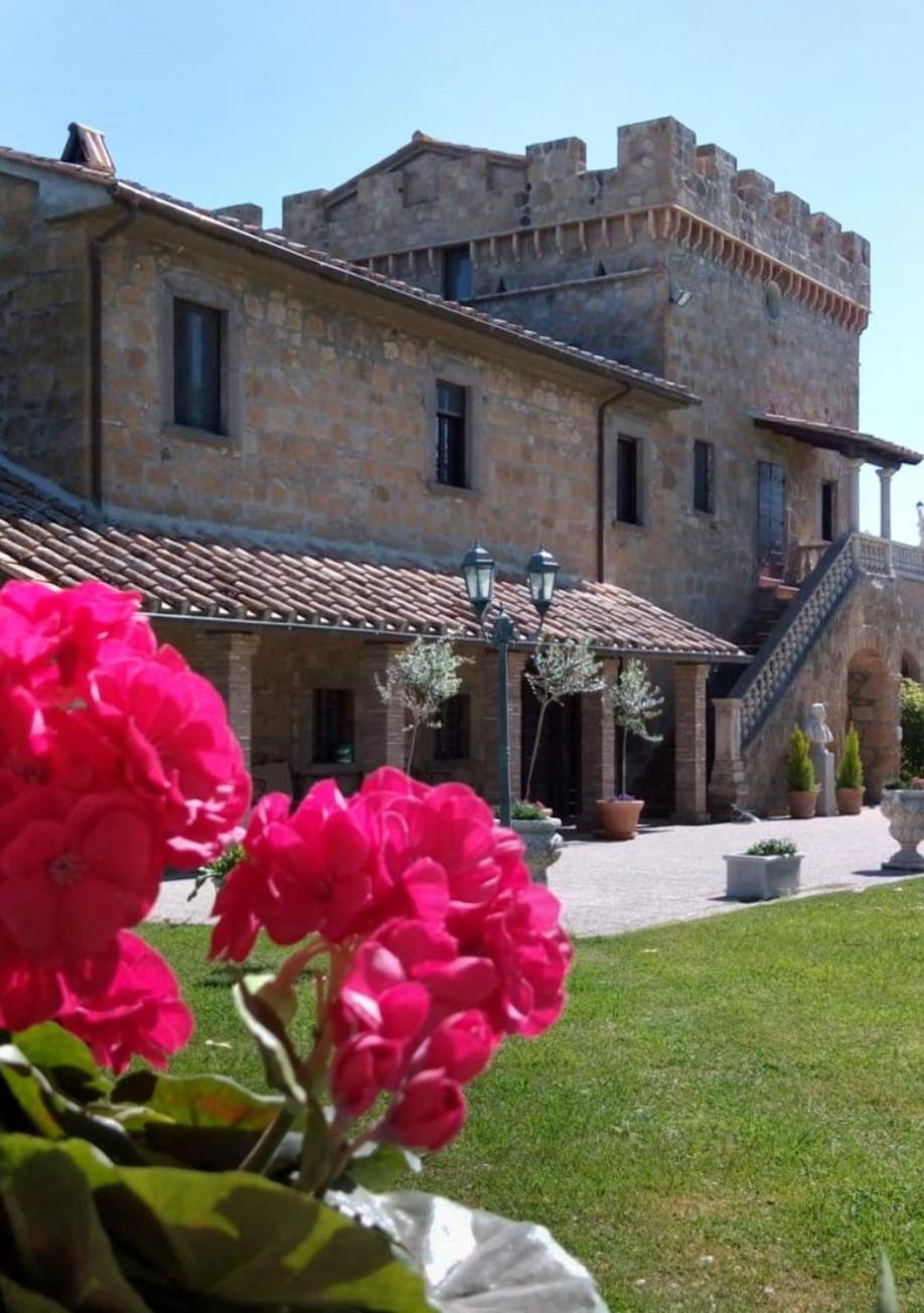 Ferienwohnung Dependance Torretta Pucci Civitella dʼAgliano Exterior foto